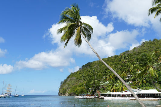 Caribbean (20+ areas)